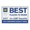 Ford scored a 100 in the HRC's 2017 Corporate Equality Index