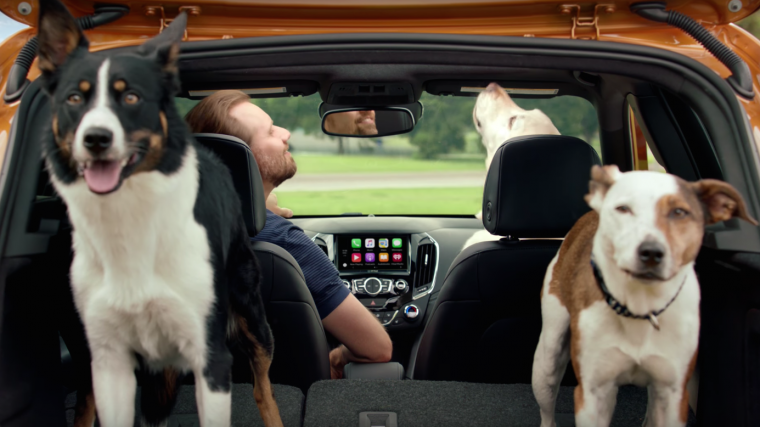 New Chevy Cruze Hatchback commercial, "Real Dogs Not Actors"