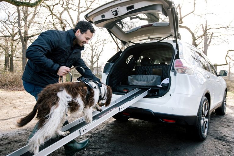 Nissan X-Trail 4Dogs