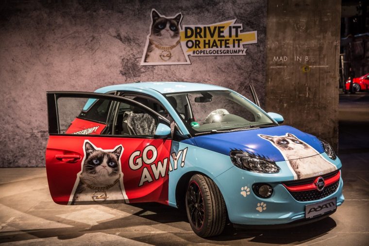 Grumpy Cat Opel ADAM