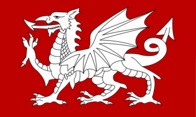 White dragon flag wyvern English creature design