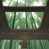 Potentially Bamboo Vehicle Interiors