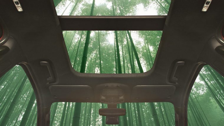 Potentially Bamboo Vehicle Interiors