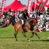 Nissan Showjumping South Africa