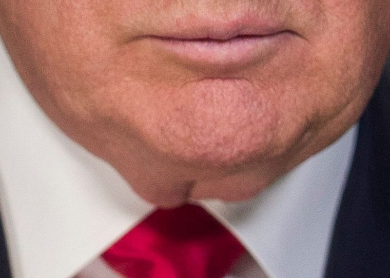 This is Donald's Trump face pouch. It's super gross