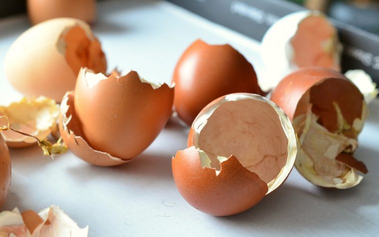 Colorful Tires Egg Shells