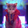 Instafamous Feline Pompous Albert Promotes Honda Genuine Parts and Service in New Social Campaign