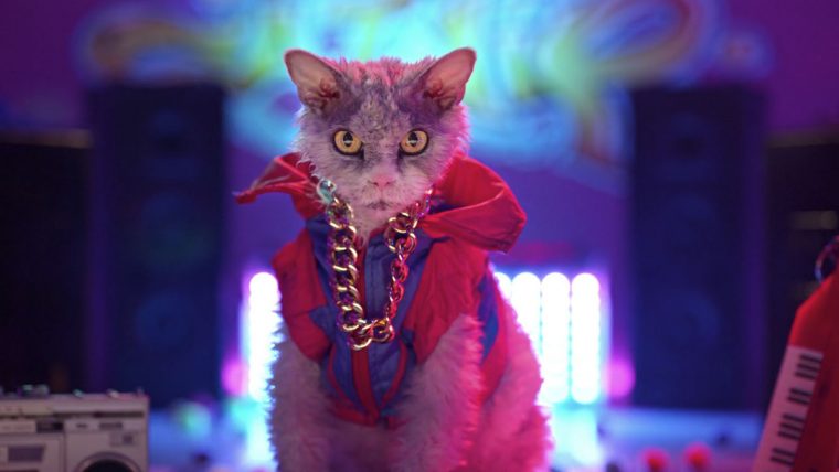 Instafamous Feline Pompous Albert Promotes Honda Genuine Parts and Service in New Social Campaign