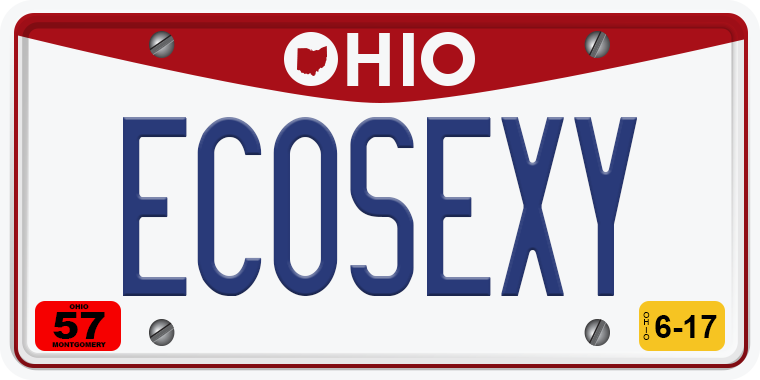 TNW Funny hilarious vanity license plate messages ECOSEXY