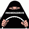 Women2drive Saudi Arabia logo