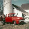 1954 Ford F100