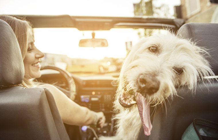 Woman and Dog in Car