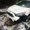 Oregon Hagfish crash slimed car