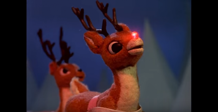 reindeer