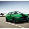 2019 Ford Mustang Need for Green