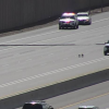 Dog Chase on Highway in Phoenix