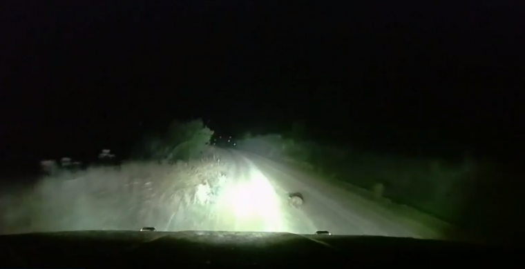 Car rolls while dodging wombat