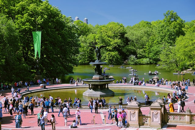 Central Park is Now Car-Free - The News Wheel