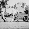 Bennett Buggy Hoover Cart horse mule car Great Depression vehicle