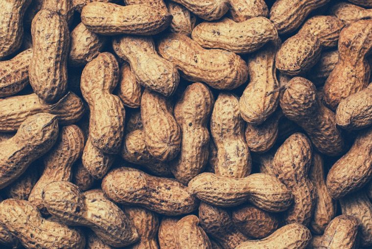 Worlds Largest Boiled Peanut Bluffton South Carolina