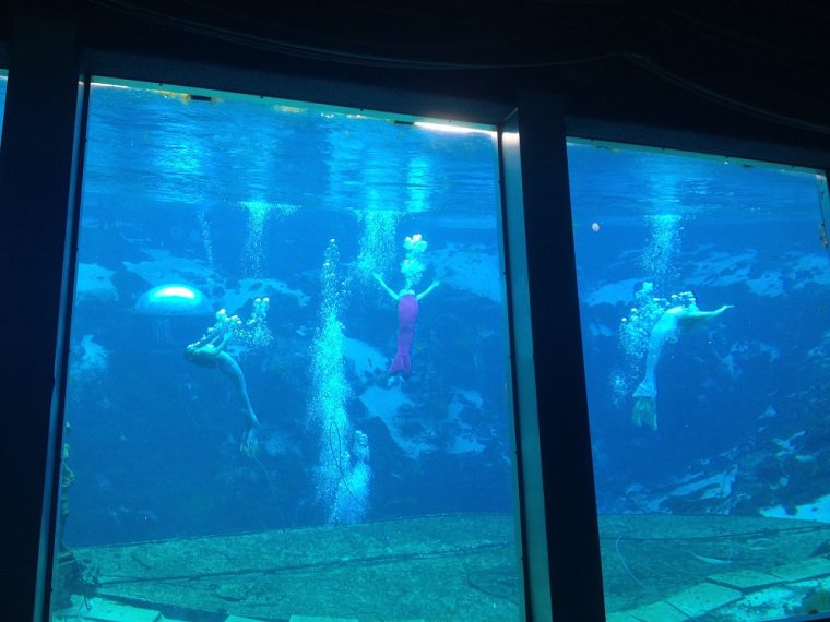 weeki wachee springs mermaids spring hill florida