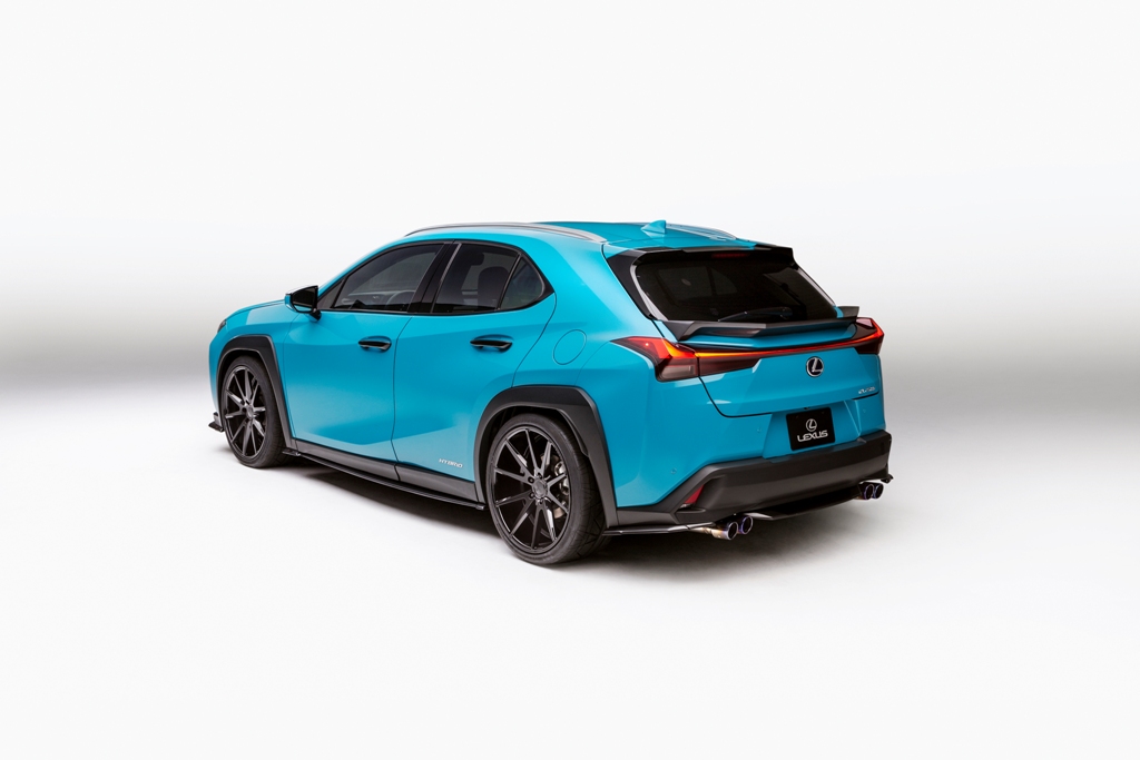 Custom 2019 Lexus UX 250h