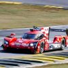 whelen engineering cadillac imsa prototype championship (1)