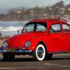 Kathleen_Brooks_1967_Annie_Beetle_Restoration