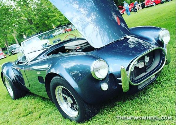 shelby cobra instagram