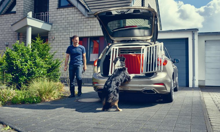 2019 Ford Focus Wagon Dog Box