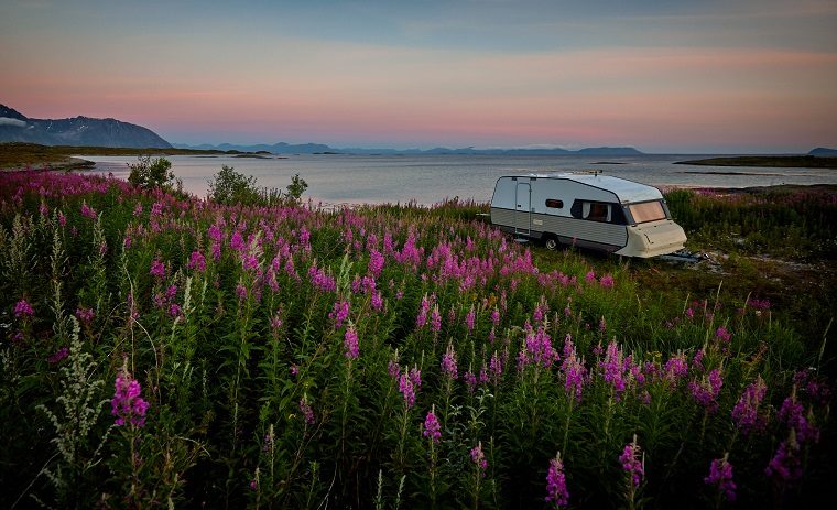 RV trailer near flowers and water