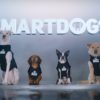 Geico Smartdogs Ad