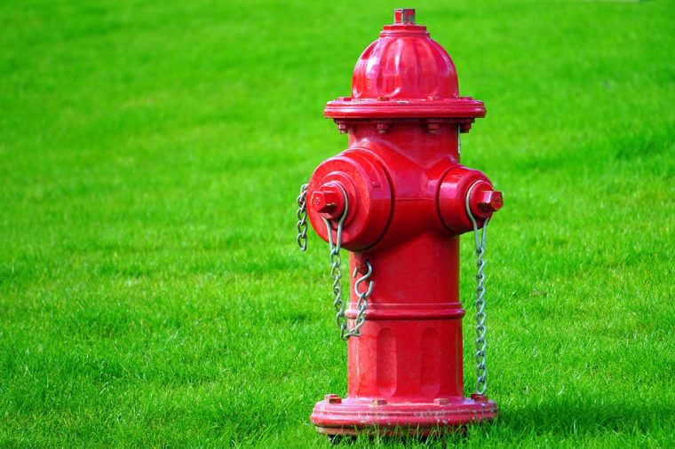 red fire hydrant in green grass