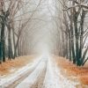 Snowy canadian road