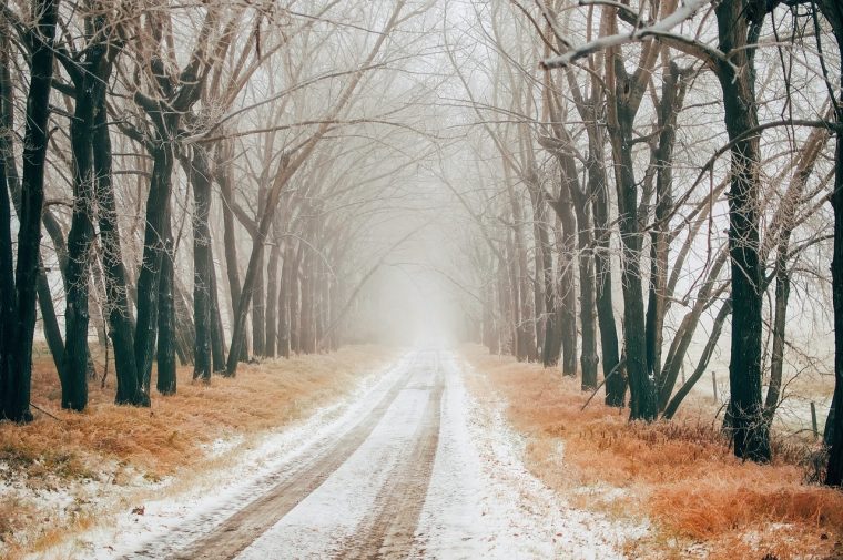 Snowy canadian road