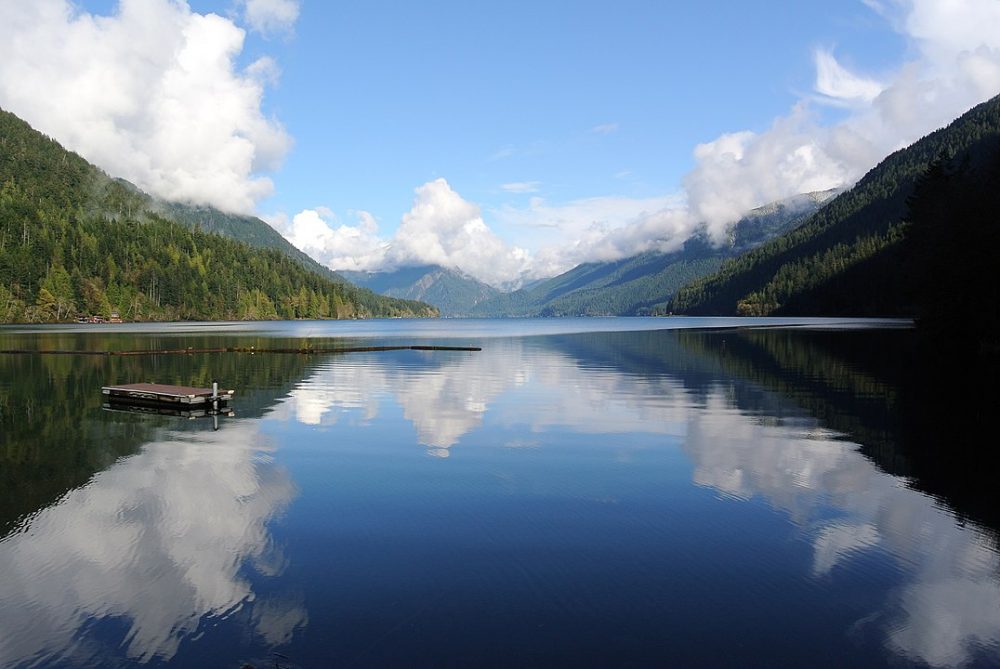 Lake Crescent olympic national park