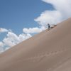 Great Sand Dunes National Park running