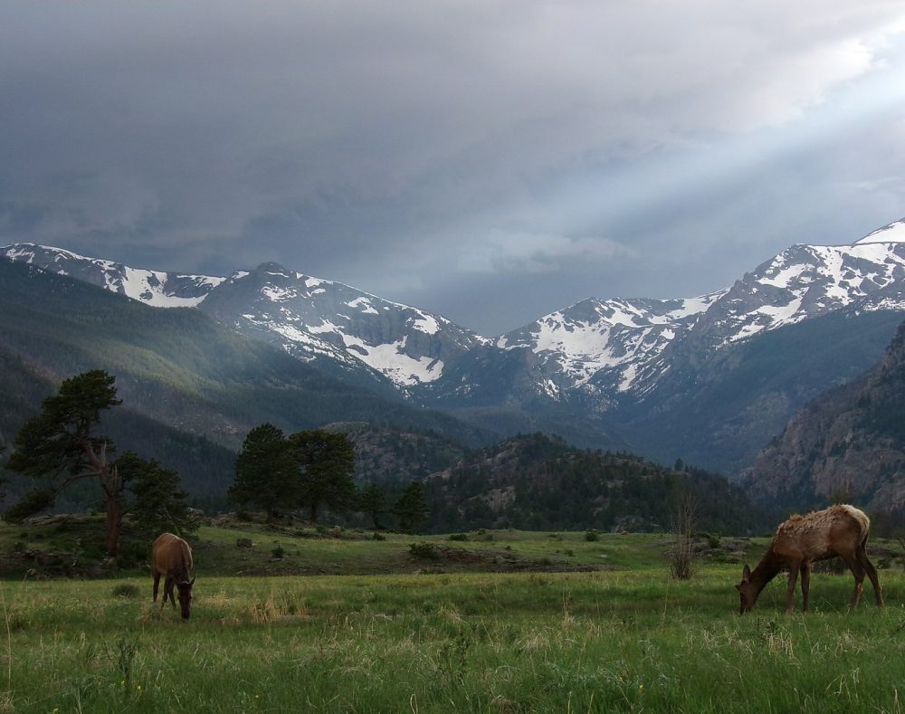 rocky mountain national park colorado