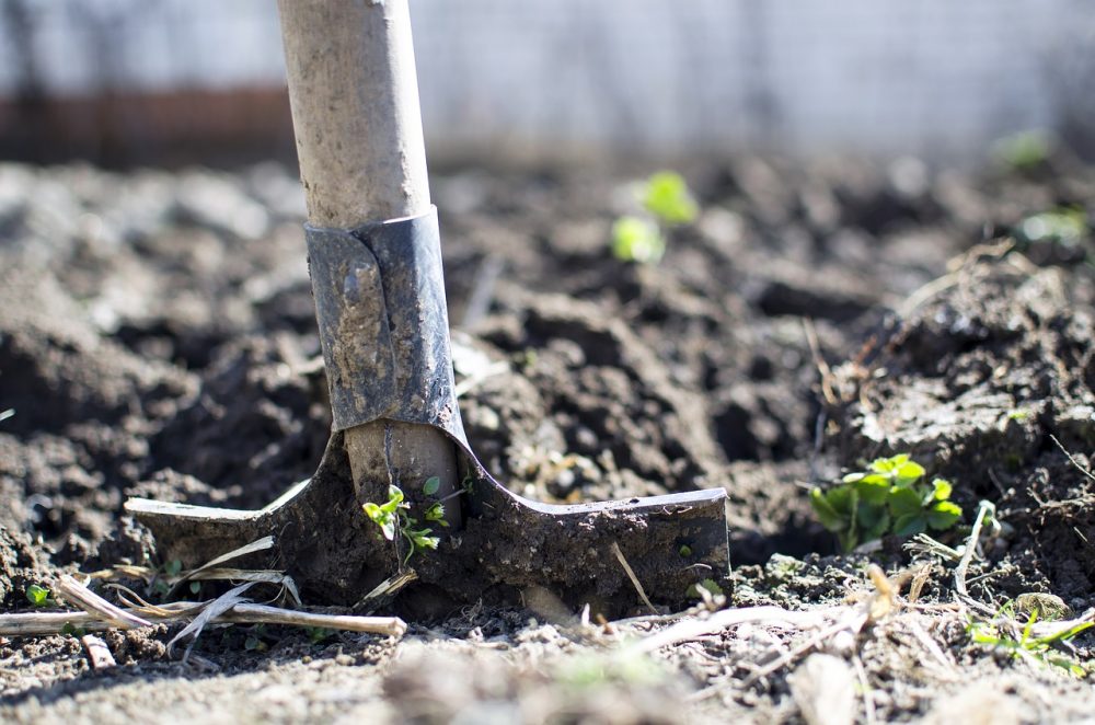 shovel in the dirt