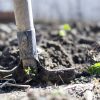 shovel in the dirt