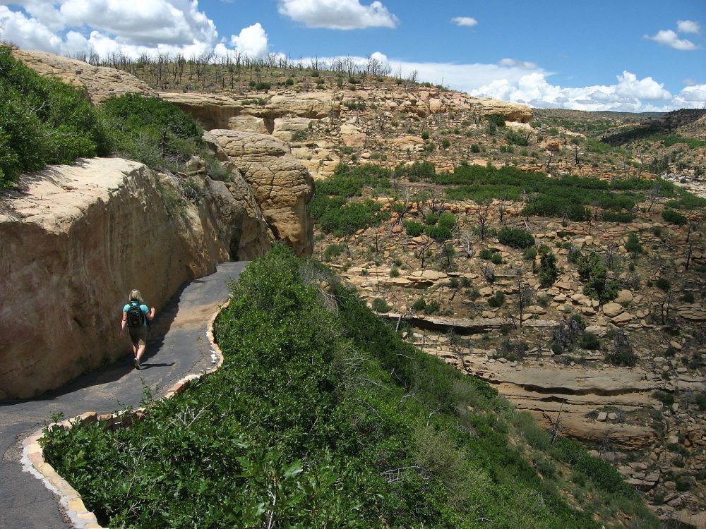 Paved trail to Step House Mesa Verde