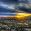 A Texas landscape