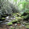 great smoky mountains national park