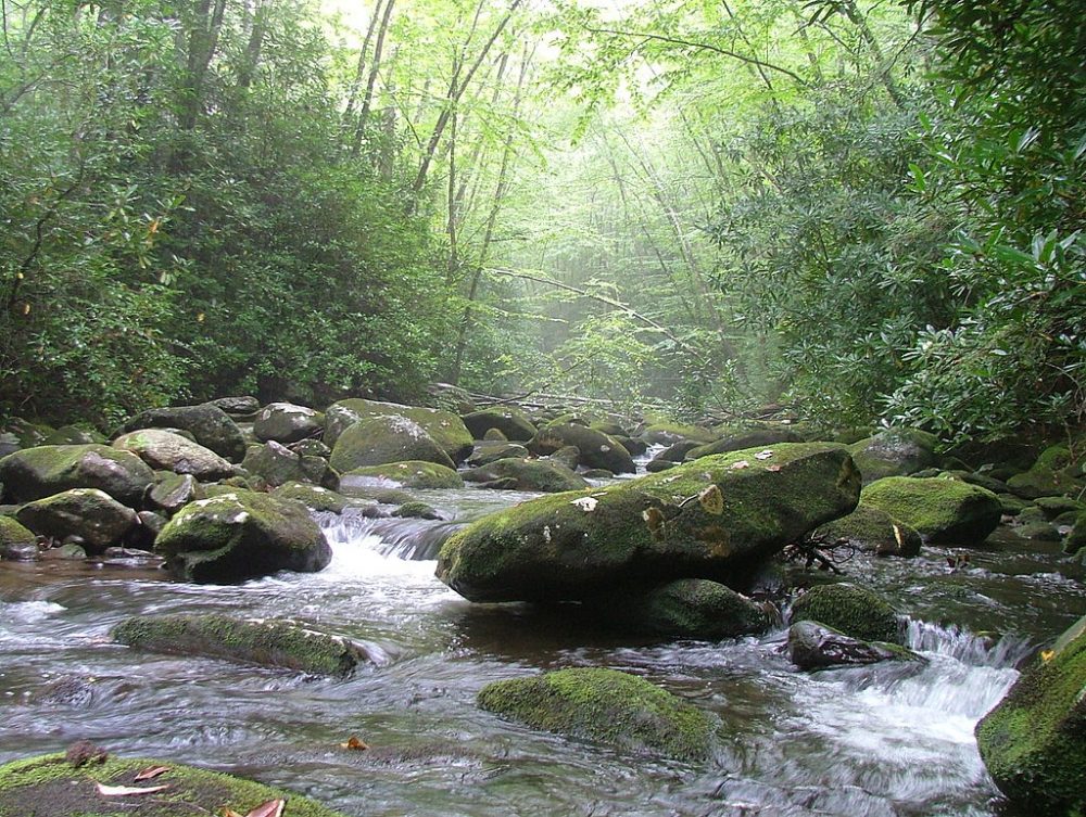 Cherokee State Forest