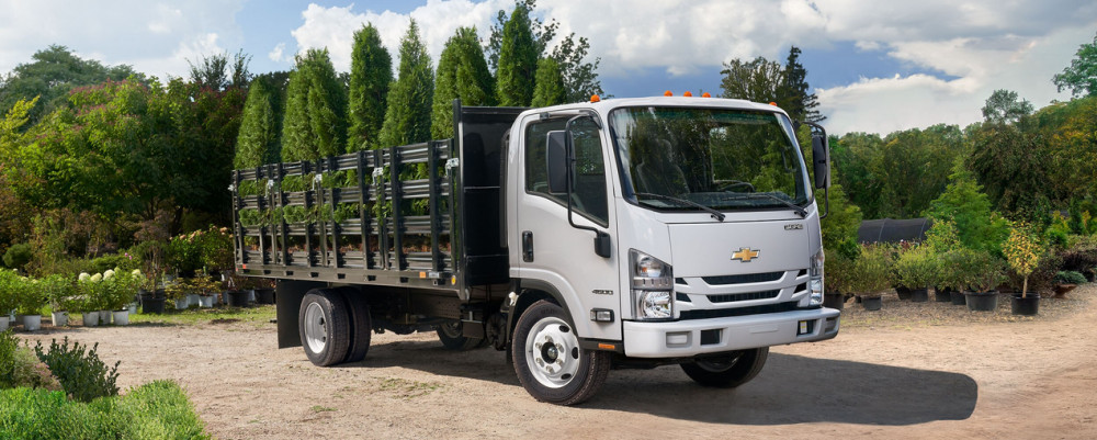 Chevy Low Cab Forward 2