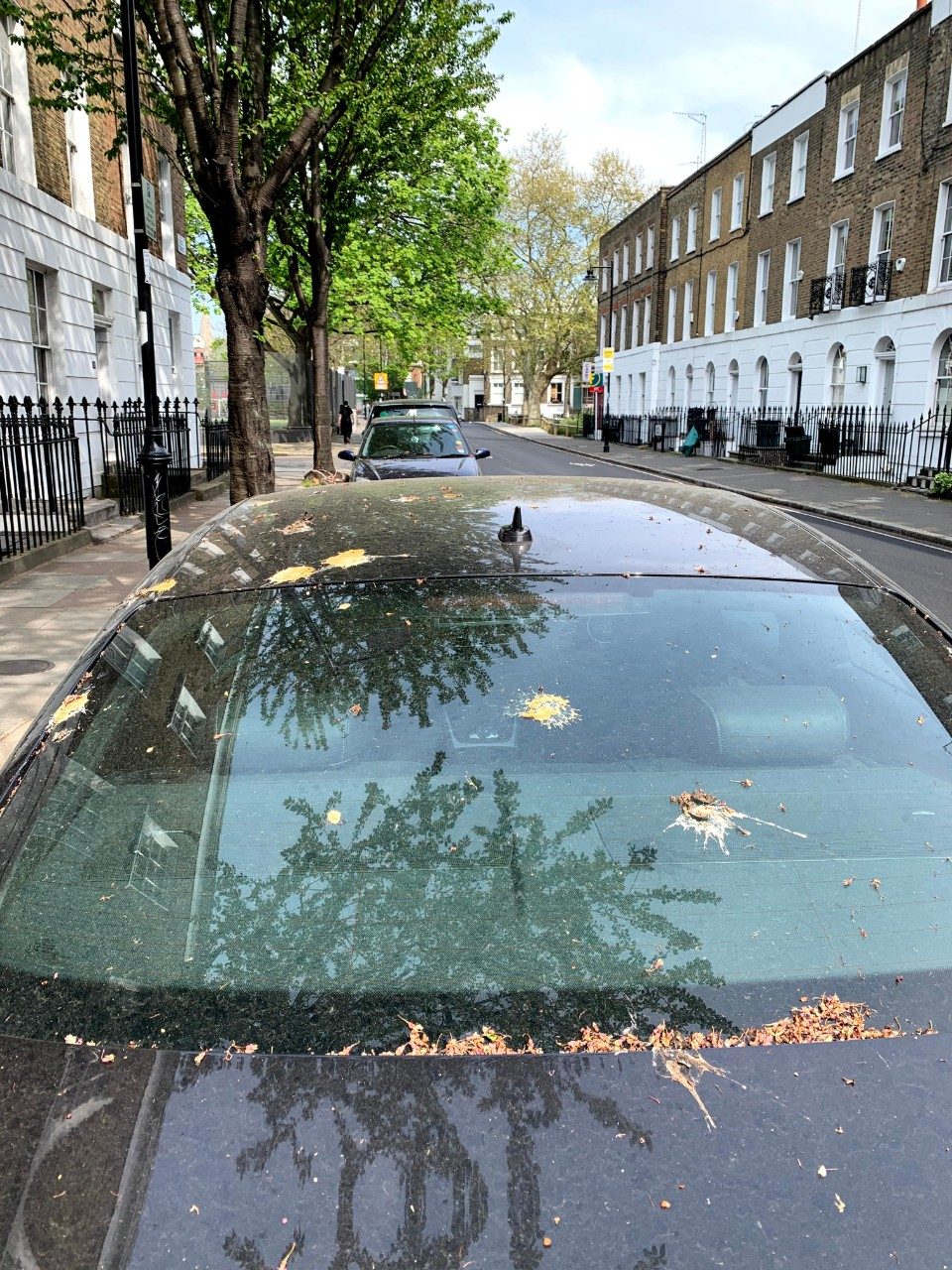 Ford synthetic bird poop test