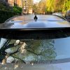 Ford synthetic bird poop test