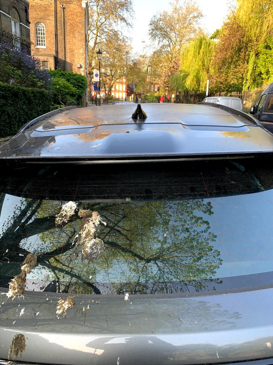 Ford synthetic bird poop test