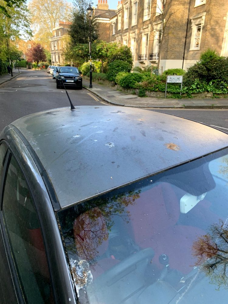 Ford synthetic bird poop test