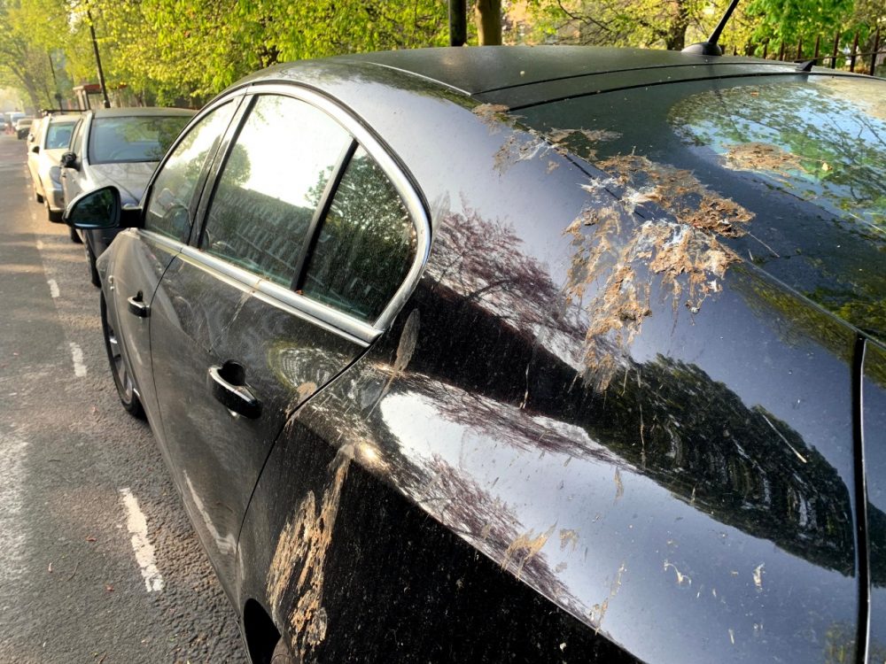 Ford synthetic bird poop test